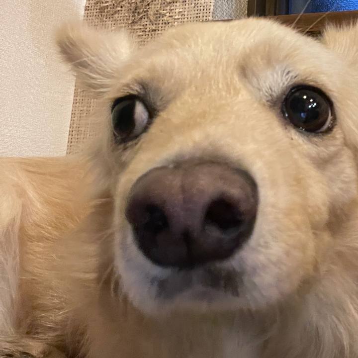 53471a85 f63a 433b b882 4b28fb75b948 1753543936054