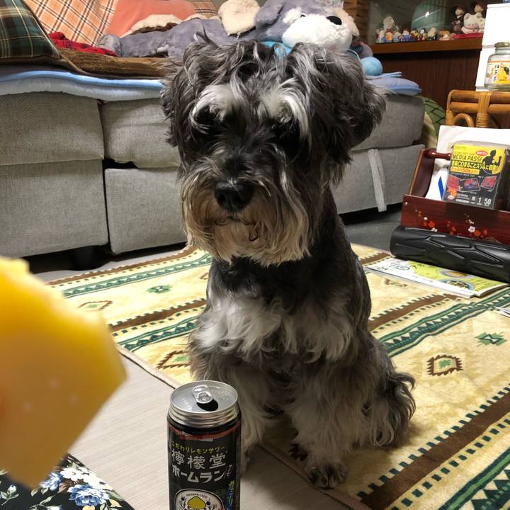 5347244e d0f1 491f ac3b bf120f6fe84b 1622204609690