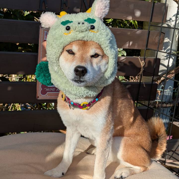 53476dc7 2597 4dea ae22 aa3e43d74de3 1735628623006