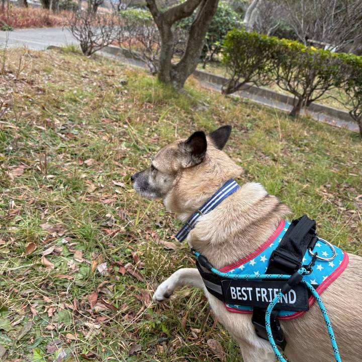 53477579 41f2 4b85 871f 369311c3bab5 1737285842351