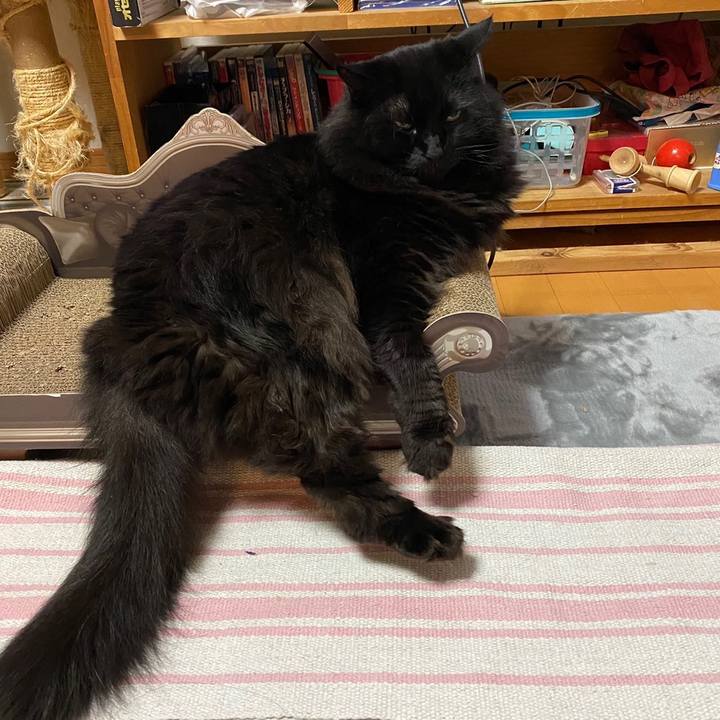 53477e57 5e43 4377 b240 2b49519dd7a5 1643456075633