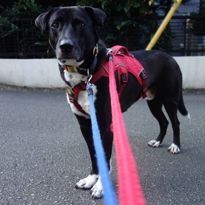 5347d245 b9b9 48e0 bfe0 42ffe13efd25 1601338510674