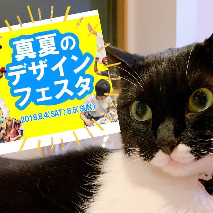 5347df1d 48f9 417e baf8 8a5a21f9ab40 1564710247629