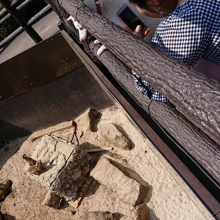 5347e8a6 269e 4f48 b54d 0d973ccf356b 1522289591198