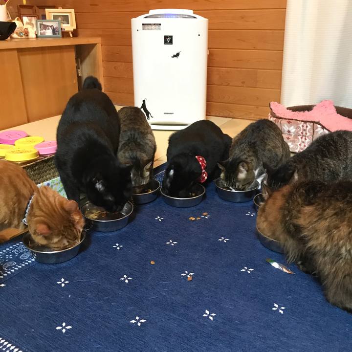 5347e979 69e5 4bc1 b1d9 a2393346a4ab 1513338664786