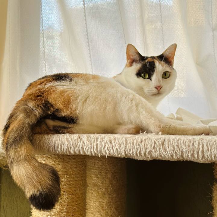 5347f0aa 5170 4445 9b25 def006f17093 1666578267210