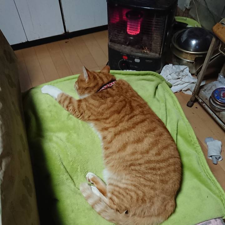 534813c3 307f 46af aeda 74cf4e1b5af2 1608155119199