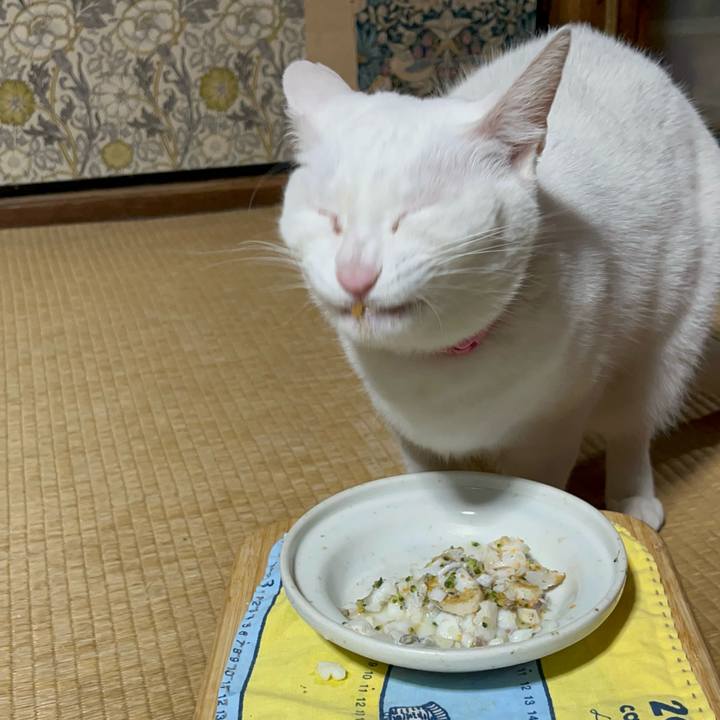 534832e4 9cb3 43d8 a466 cd8c5771f41b 1768310810579