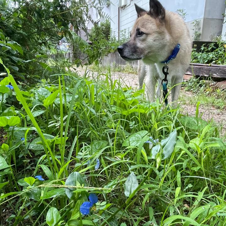 53483843 03ff 4c9e 8d65 5c5b408717a0 1694433107760