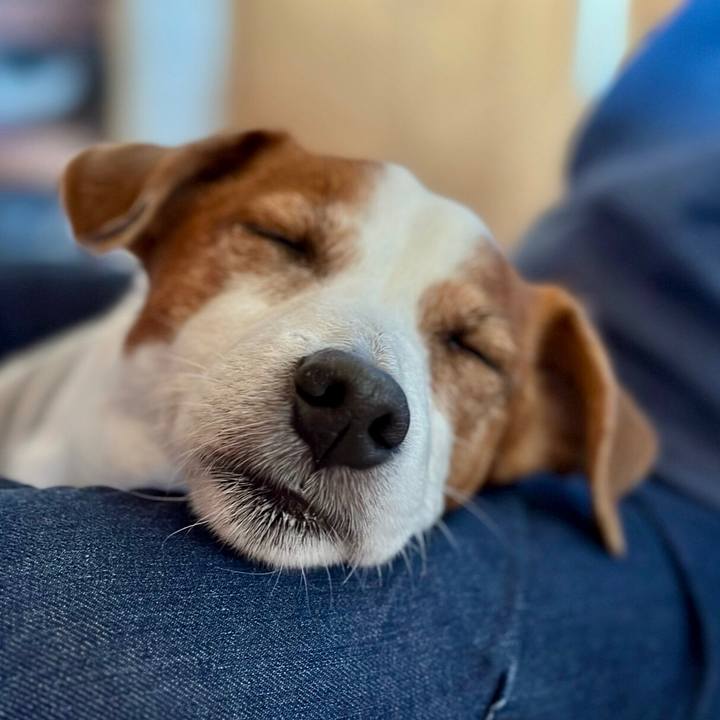 53485e8f 8070 4101 9fd4 883131f662b6 1682643919774