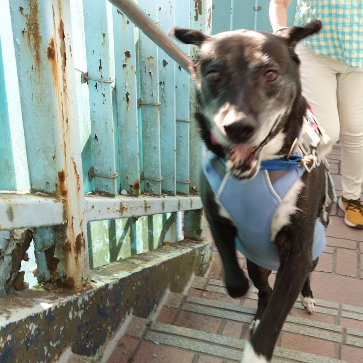 53487b8b f11a 46c6 b055 bee36ad50098 1750551956225