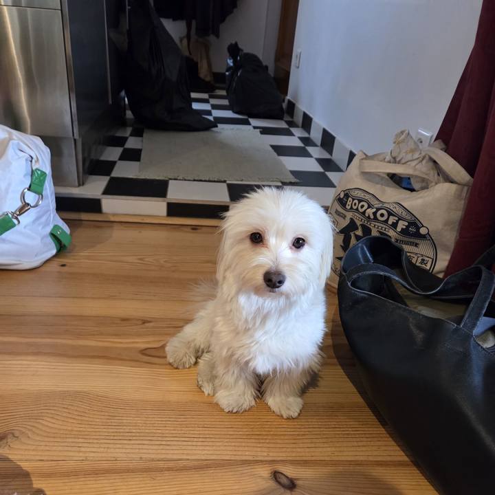 53495900 28ca 461a 8dfc b7ae3bd9e0c2 1767530854227