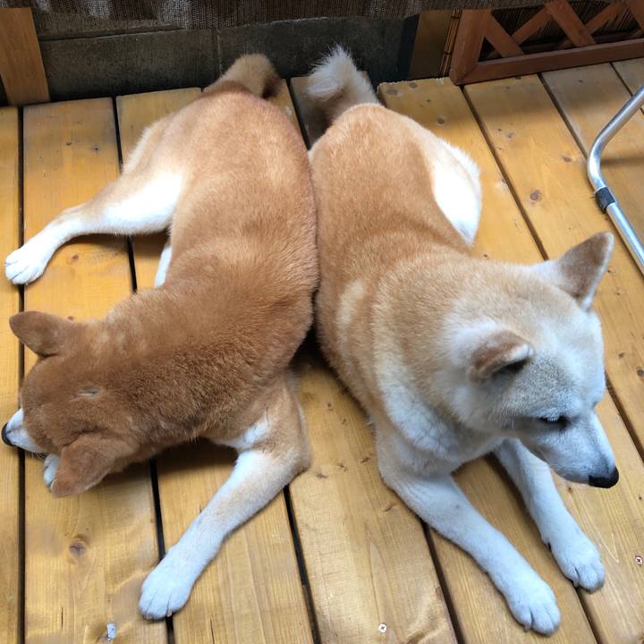 534984ed 0490 4412 b4f3 b649f854484b 1562376411583