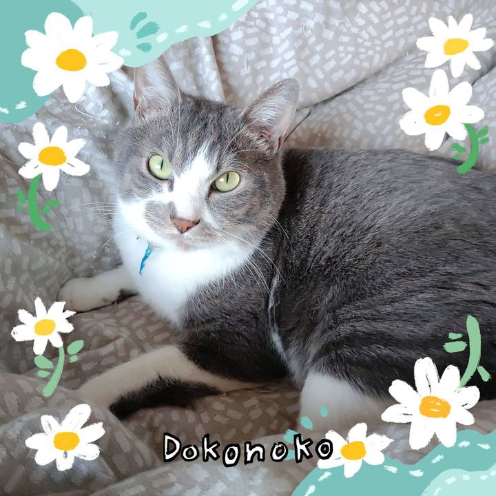 53498b2f 5af6 4a31 b69b 292c6b71c07b 1712790312182