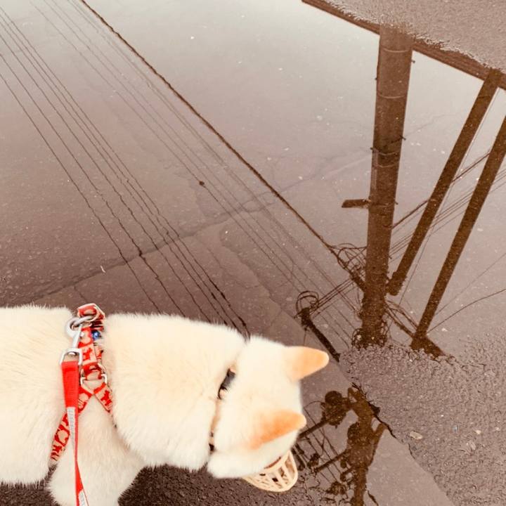 53499301 17a9 4870 83f9 8062da92049f 1557178646025