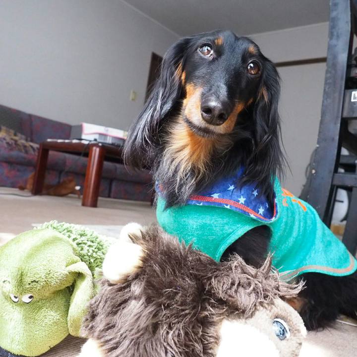 534999ac b754 4ce2 9570 4c434d3c5d8b 1522031503204