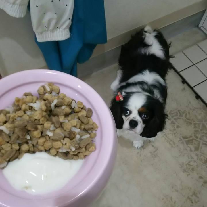 5349e07e 8848 40be 9ed0 4690b1942bb2 1528680566272