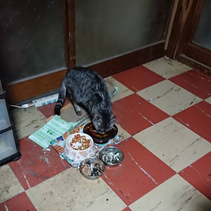 5349e446 d534 4258 9520 4c7d0be35dff 1580934129181