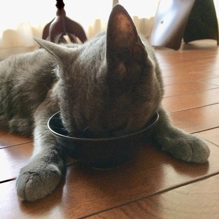 534a4fa4 21b1 4ee3 838e eb1b7bc6c36e 1531860979785