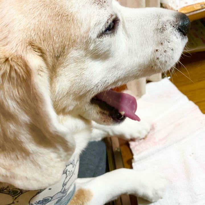 534a7bf4 1855 4062 91ff 2932e1deeb58 1650772142262