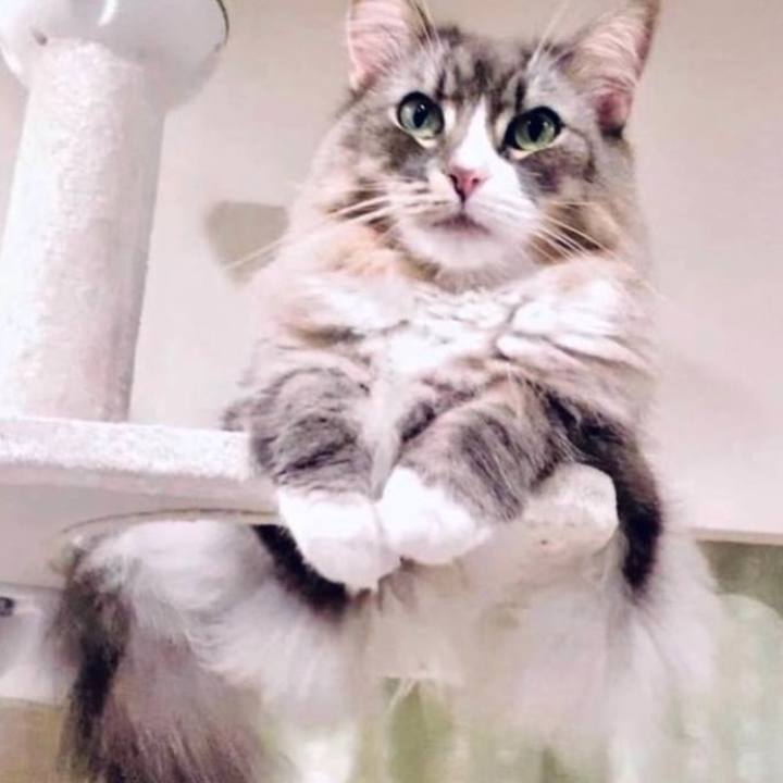 534b245b 3525 450b a976 5a0b5fffa520 1757344969137