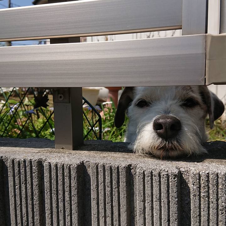 534b3ae9 6103 4b02 bd62 f56b0b642f31 1553643542666