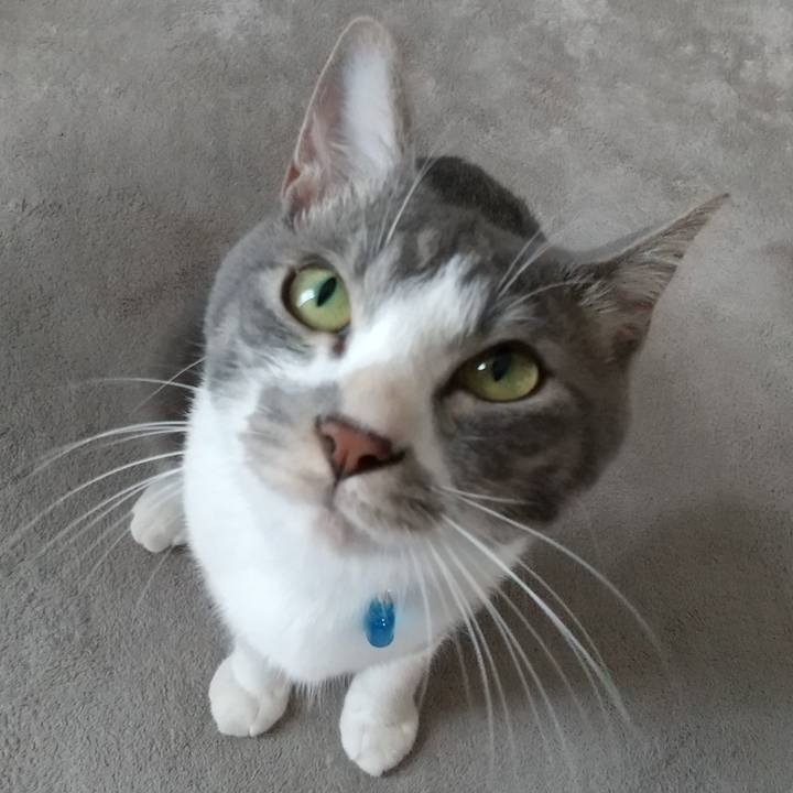 534b7f6e 6724 468c 9dcd 6e438adcb49b 1596594417829