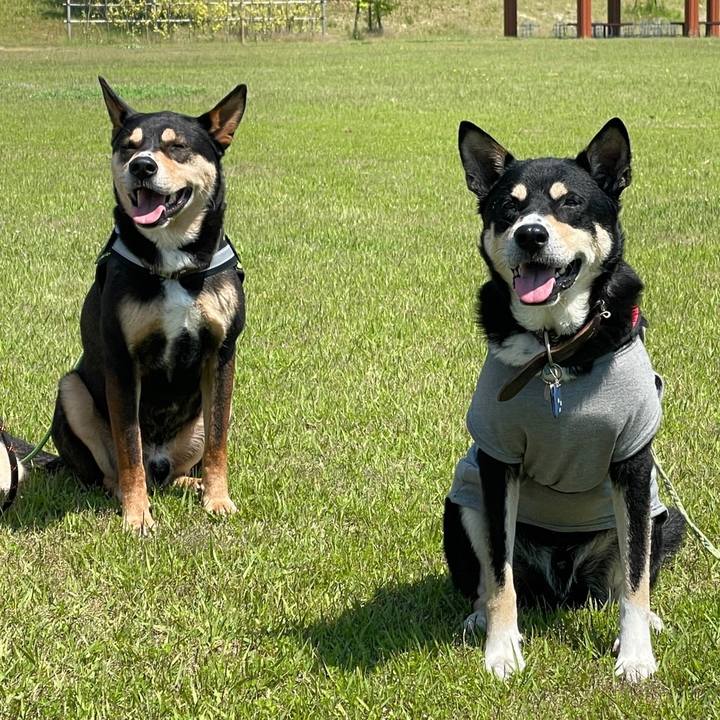 534b8739 dcc0 4a86 b687 3fb751d59761 1653226288540