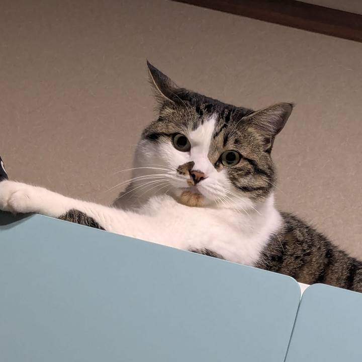 534b91b0 b17a 4b14 8e6d e637082dc8e7 1751183776970