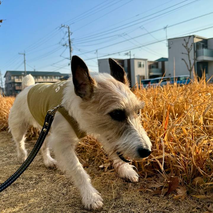 534bb9f6 078c 4287 b4d7 0ca3c2218032 1740892890178