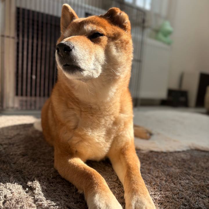 534bc0a1 8892 43c8 ad60 5a68f0150f18 1773552523894