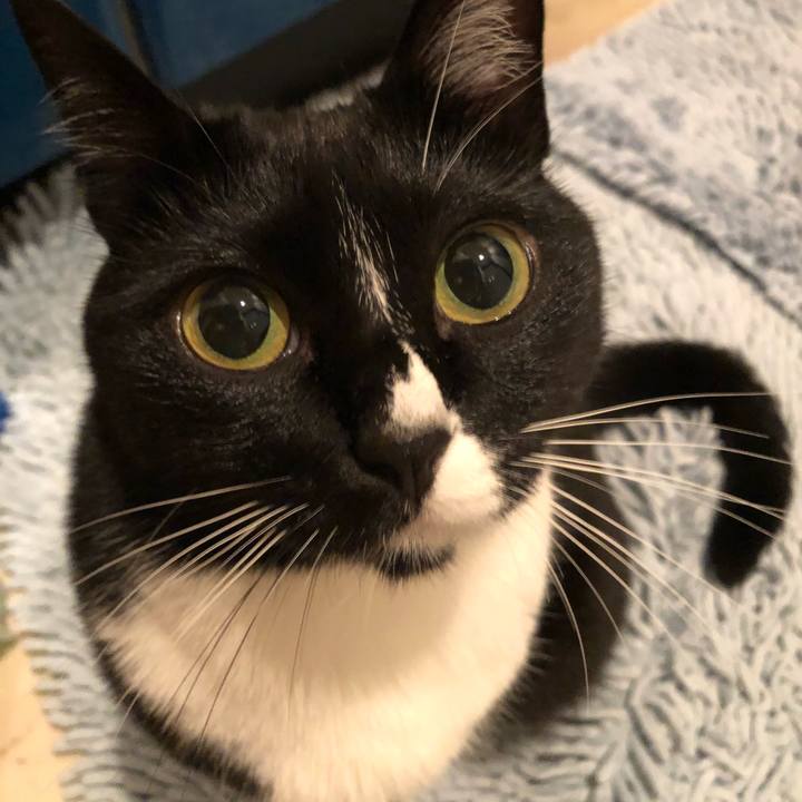 534bd3f7 fc44 48b3 9053 25b5e887688c 1520290405191