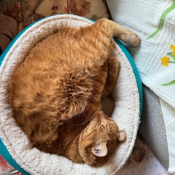 534c246f e892 4e3a b9d4 c626d3dcbde1 1762583096767