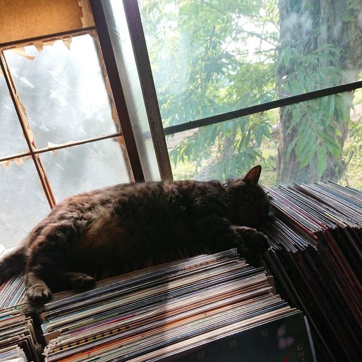 534c2b85 ed5a 4d2f 87e2 76523ec127ff 1657533667332