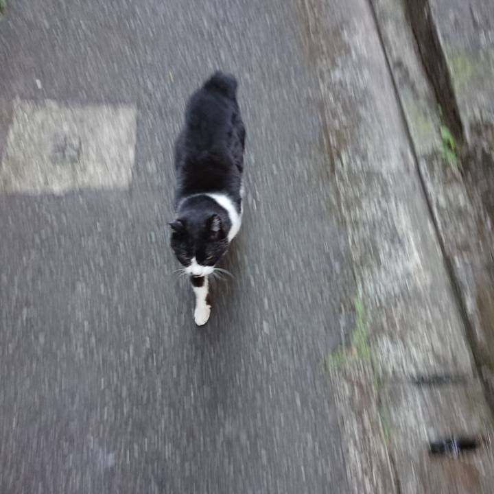 534cb721 e397 492f a31b a6da61ab524a 1674602629015