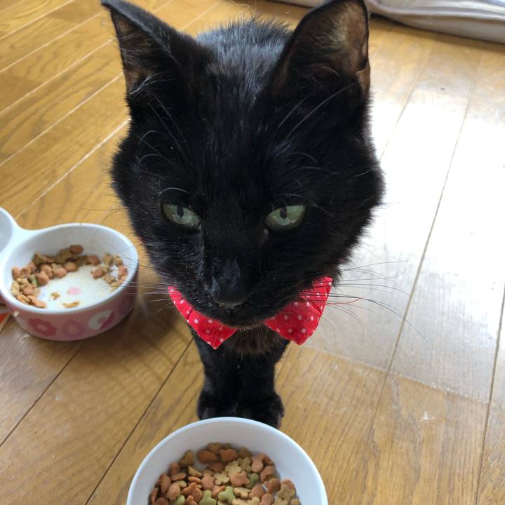 534cc08f a6e5 4997 bf3f f797dea7e114 1556711669316