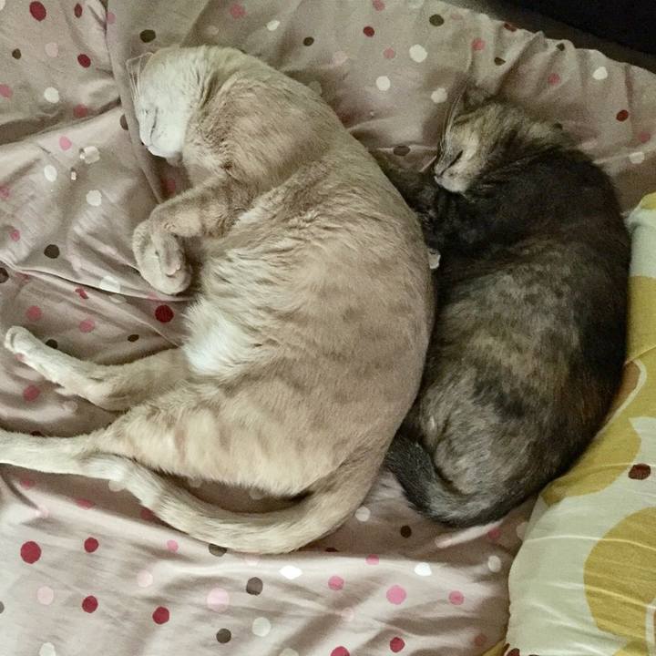 534cd991 1343 4160 ab79 fe8a356c54a0 1536647634320