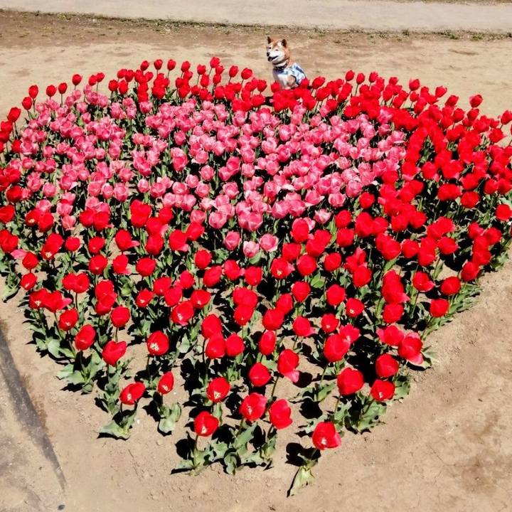 534cdbe1 baf0 46b3 9cdb 48b623757b5a 1744199181765