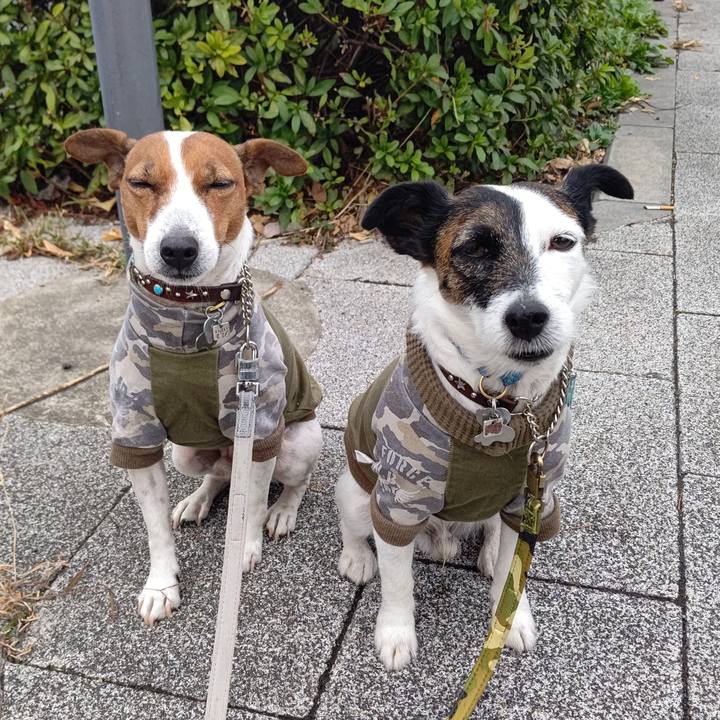 534cef7d 9f2d 47cf 8632 86ad818a4e31 1668905331046