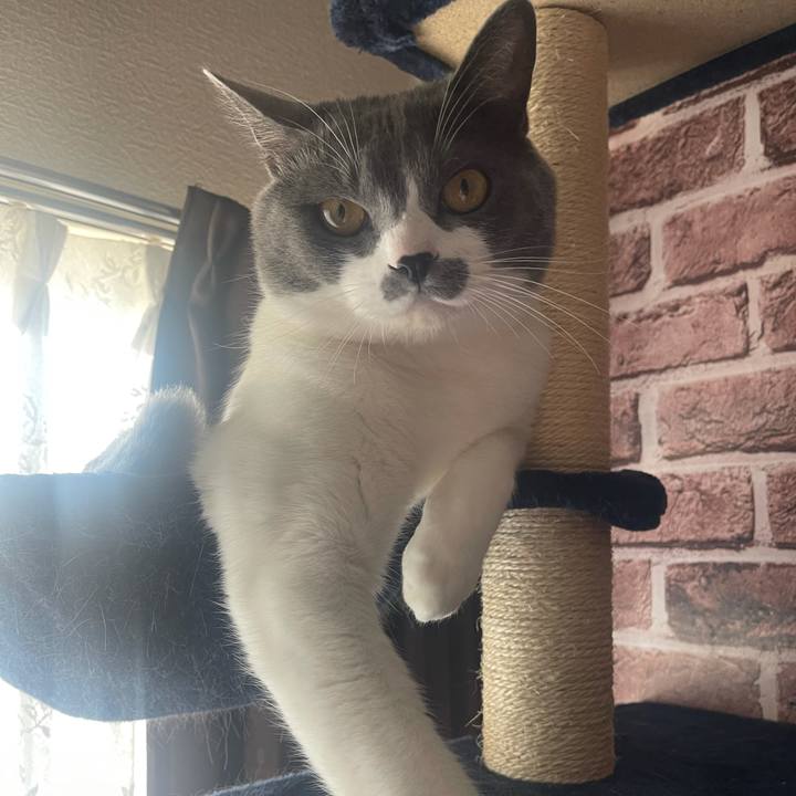 534d11e5 ea0f 4680 a4ca 09185ab28130 1623929903098