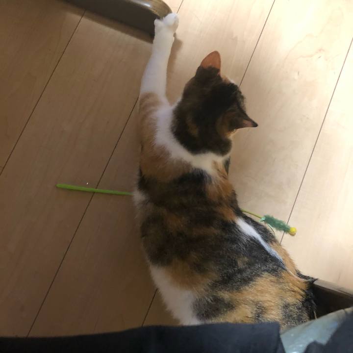 534d8c53 d3e4 498e bbfd 87d340f21761 1591103090380