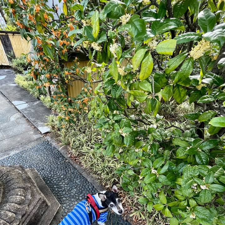 534d8cf2 ff2f 4382 8824 894cdd0469ac 1635929915410