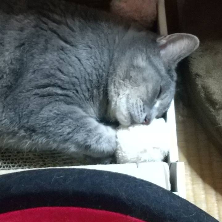 534df566 d350 4a4c a505 99497362036d 1633046001969