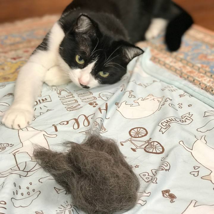 534e0401 50f2 4395 94aa 4d92c4638bdb 1540531817021