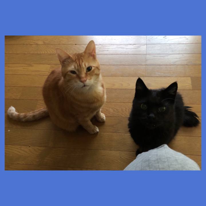 534e48a7 98c2 43f5 8e72 c8f7781165f4 1599512764576