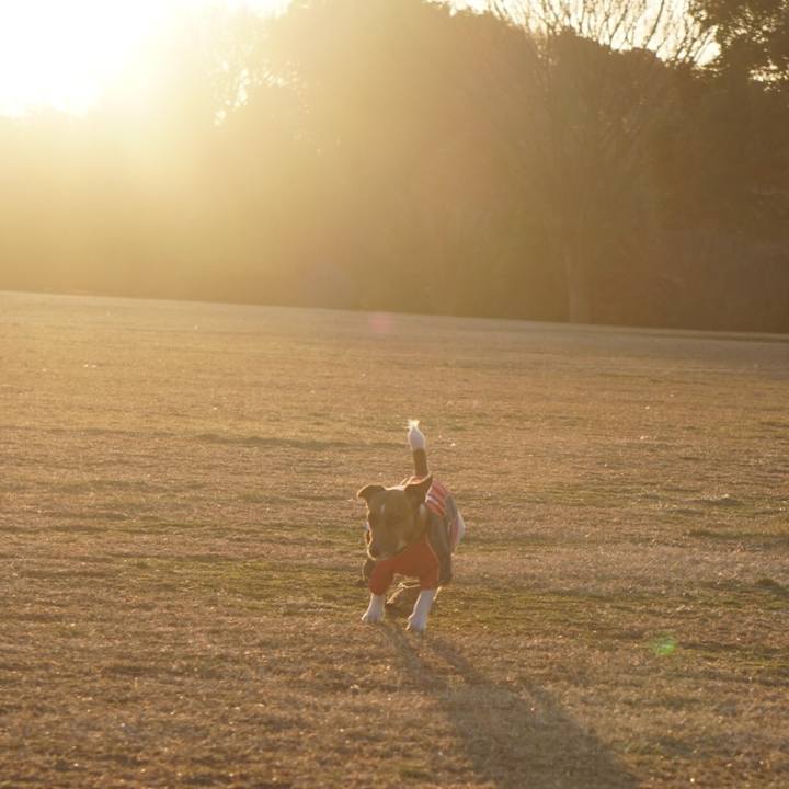 534e4aba 2e5c 458f 9e6f 1a615b2e413d 1518907596736