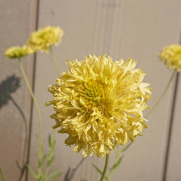 534e69a5 7dbc 49b1 93c1 34579b5ee57f 1654141810358