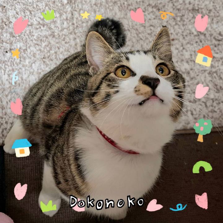 534e6ebe 7c5d 4e9b aa24 a486d078f06e 1741232134000