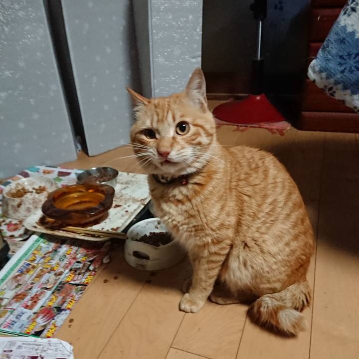 534e93fb 63bf 4183 9834 ca6a000f8d46 1649451730677