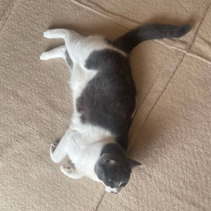 534ebe68 0635 4006 bcdd 3feb3b5b41ca 1732922050707